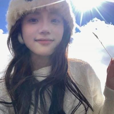 29片棕榈叶